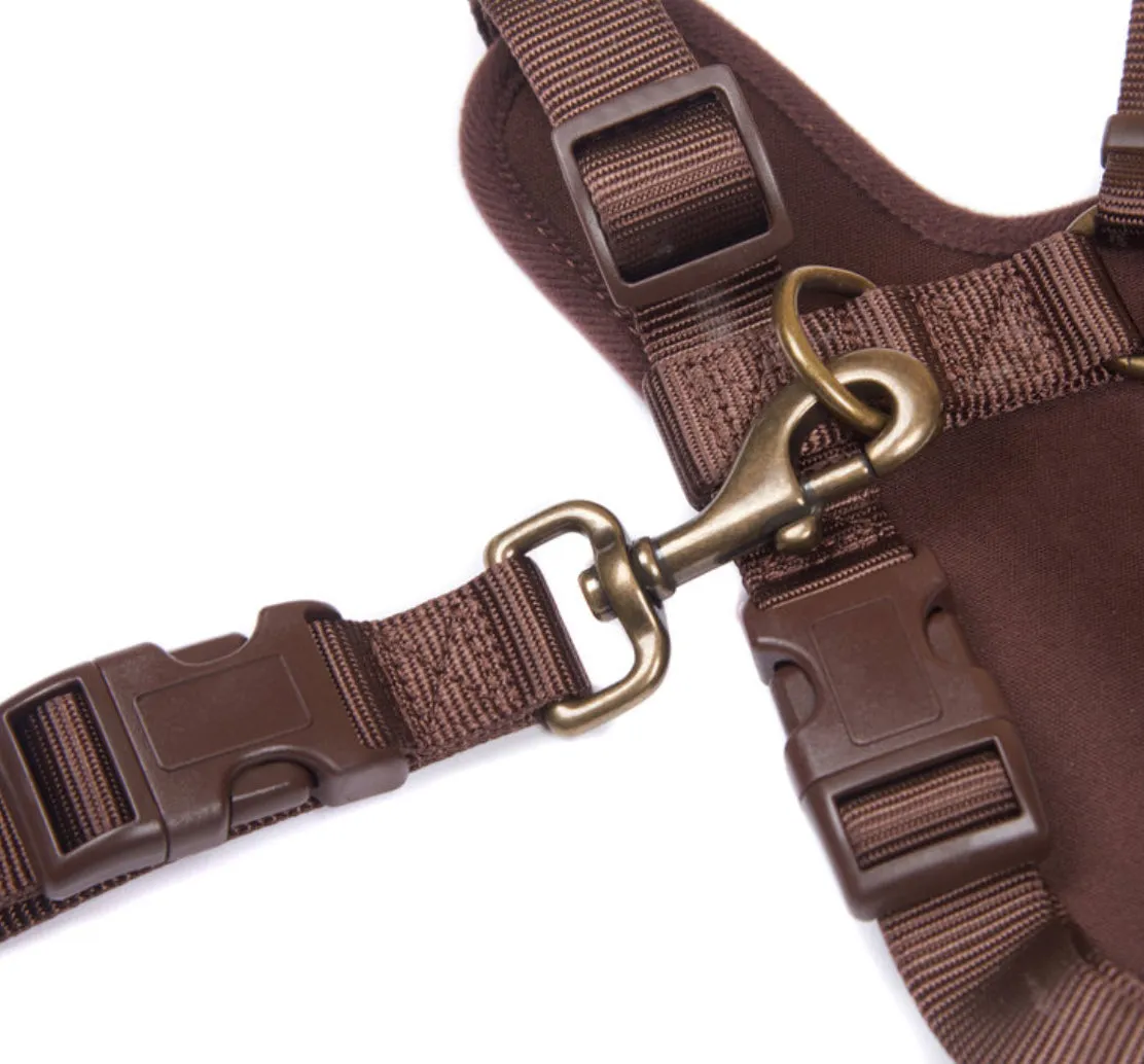 Barbour Travel & Exercise Dog Harness
