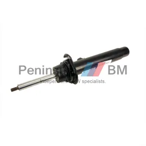 BMW Spring Strut Front Left or Right F20 F21 F33 Genuine 31316873762