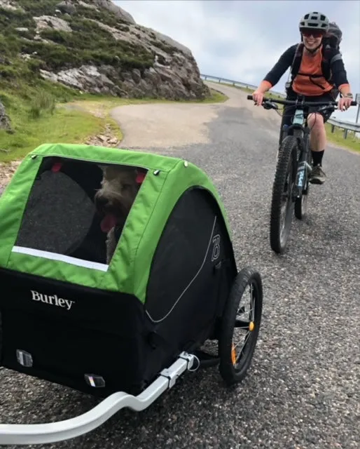 Burley Tail Wagon Pet Trailer Hire