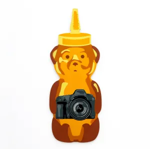 Camera Bear