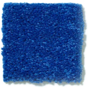 Carolina Gym Supply Vault Board Recovery Kit