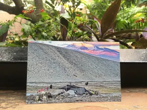 Changtang, Ladakh (Postcards from Knowhere)