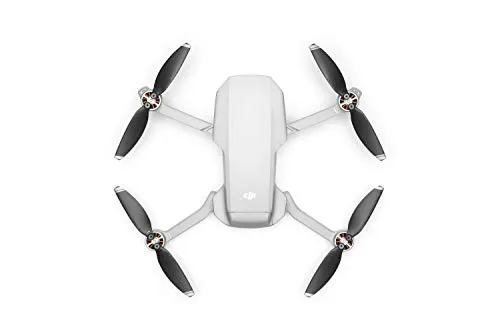 DJI Mavic Mini - Drone FlyCam Quadcopter UAV with 2.7K Camera 3-Axis Gimbal GPS 30min Flight Time, less than 0.55lbs, Gray
