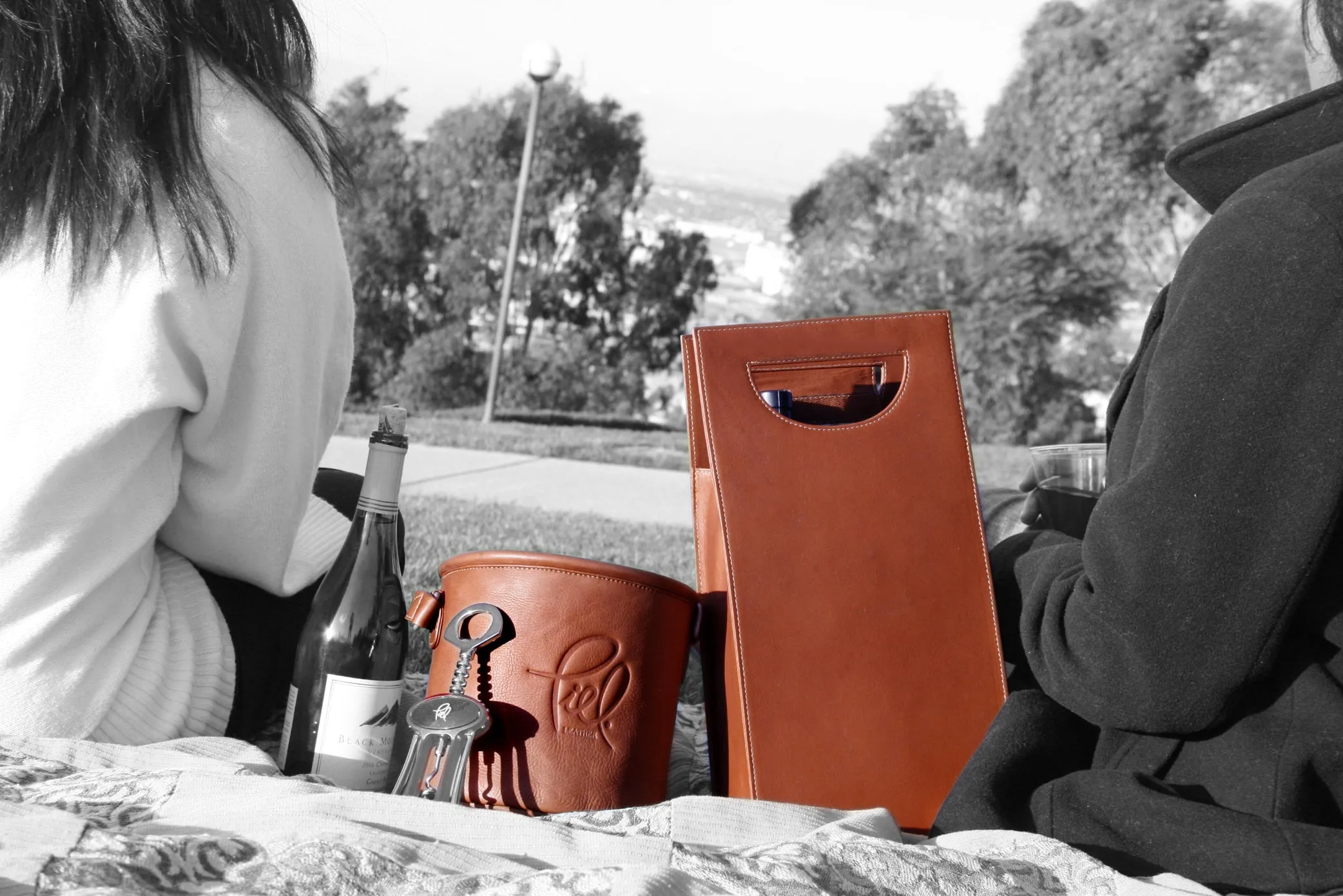 DOUBLE WINE CARRIER