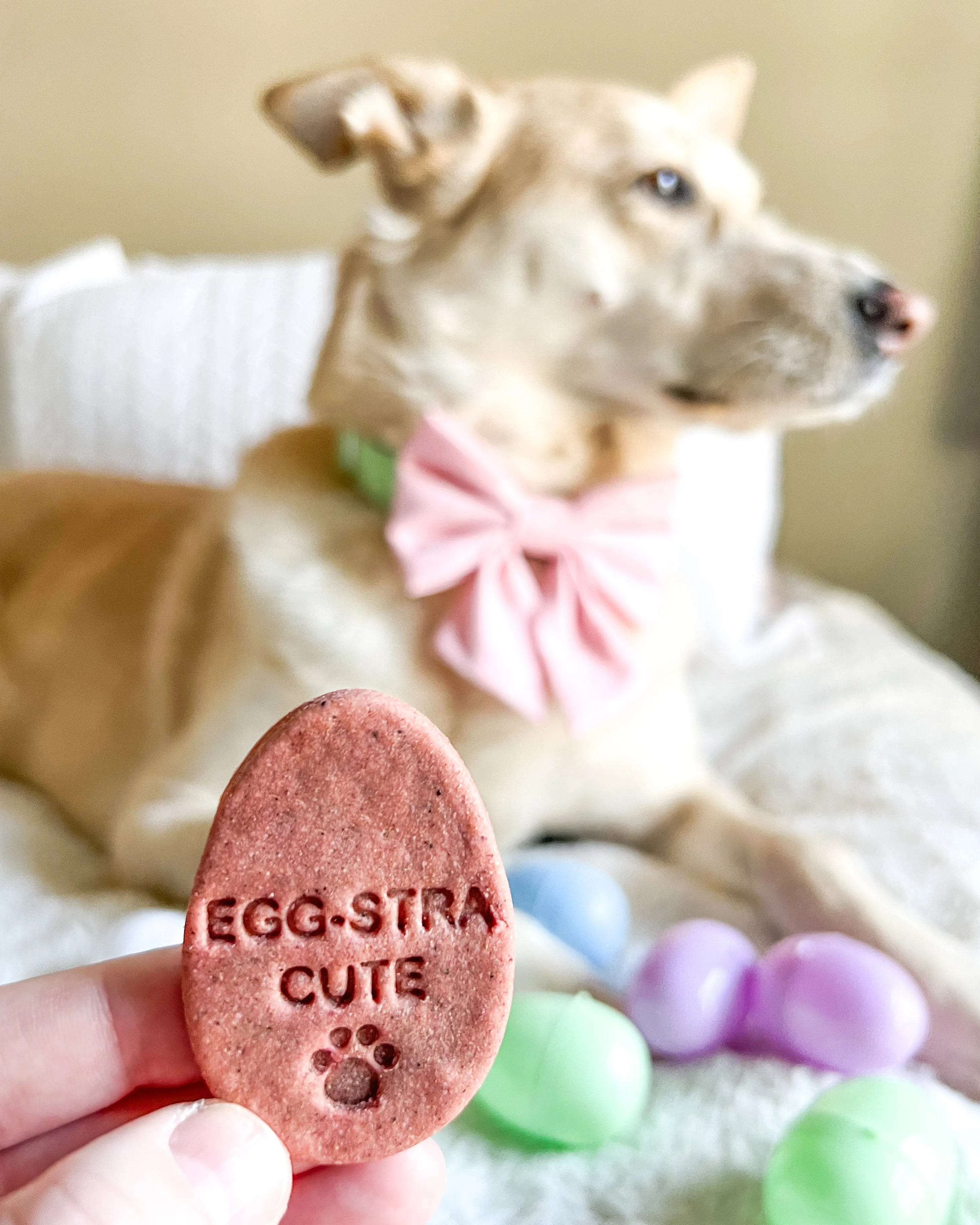 Easter Eggs Dog Biscuit Cookie Cutter (with sayings)