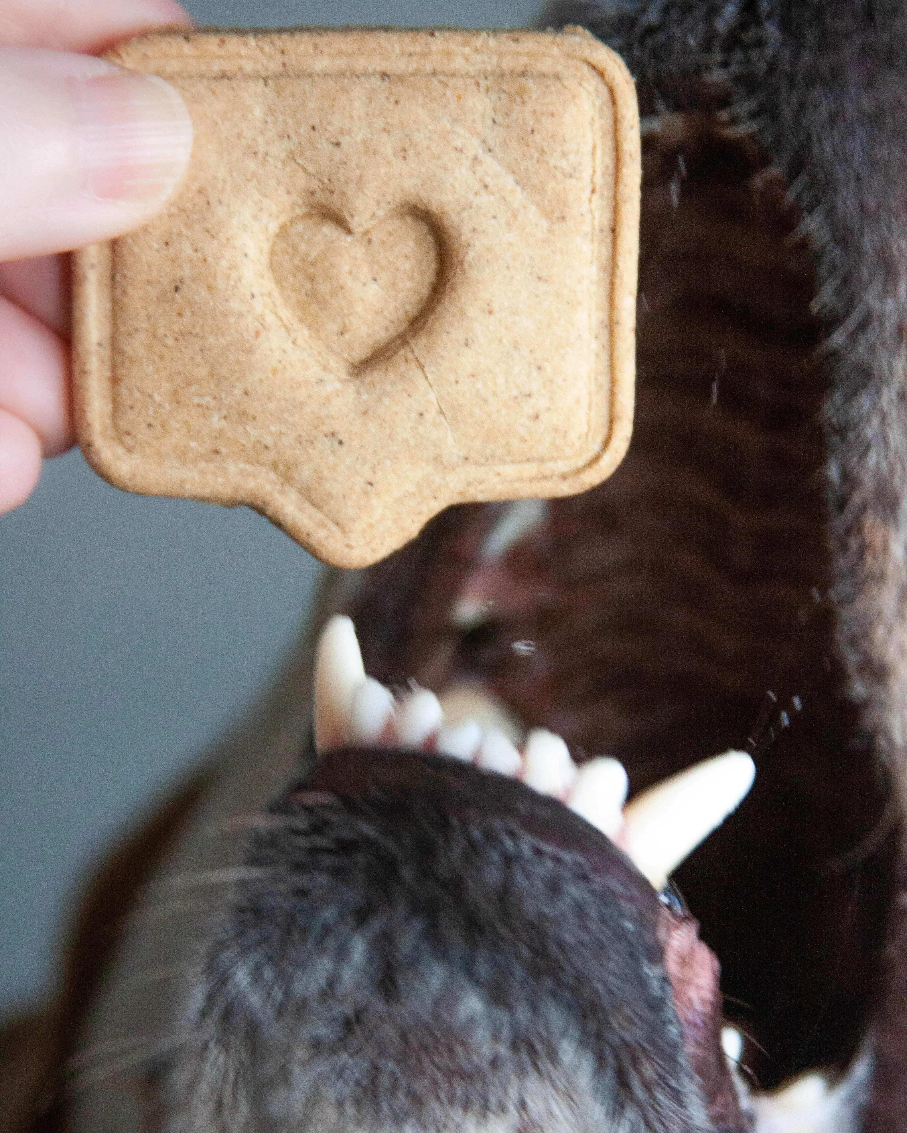 I Like You Heart Icon Cookie Cutter
