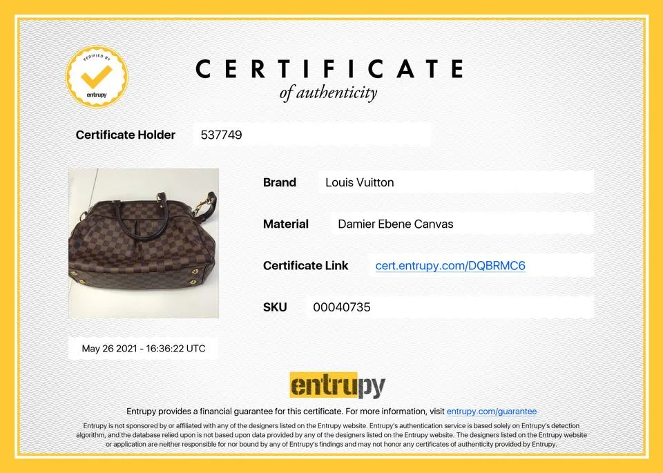 Louis Vuitton Damier Ebene Trevir 2way Bowler Bag 635lvs617
