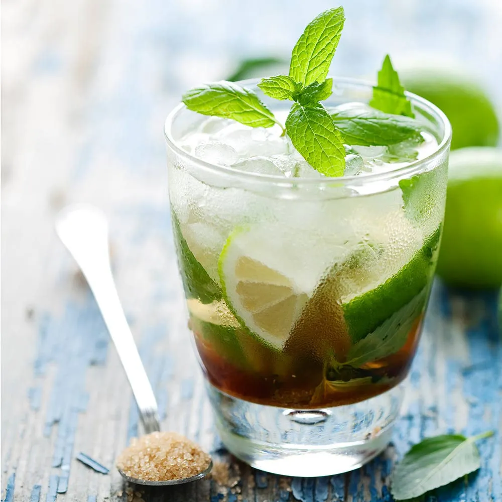 Mint Mojito 100% Pure Soy Travel Size Candle