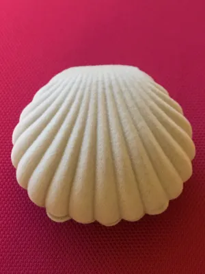 Oyster Jewelry Box