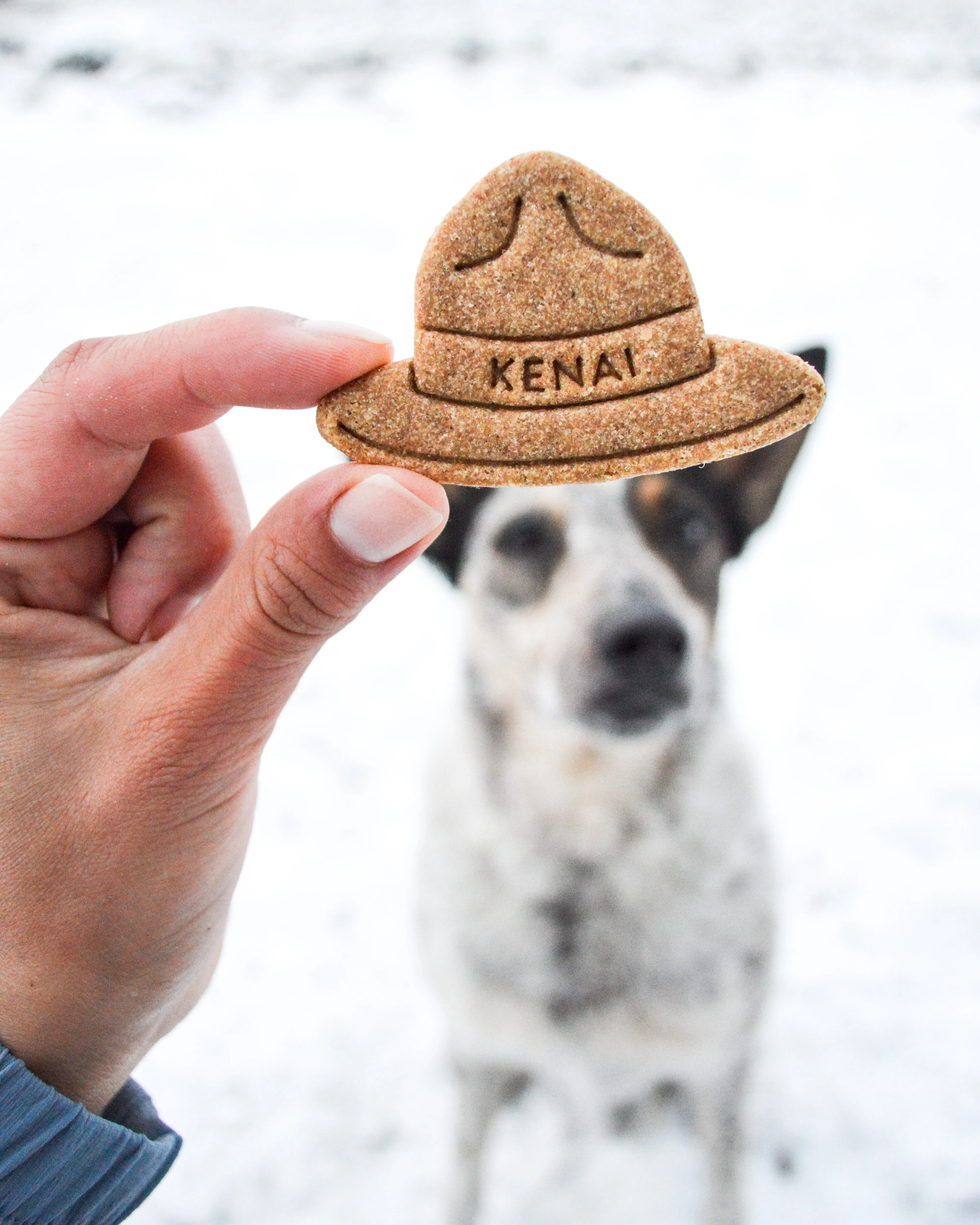 Park Ranger Hat- Dog Cookie Cutter (Personalized)