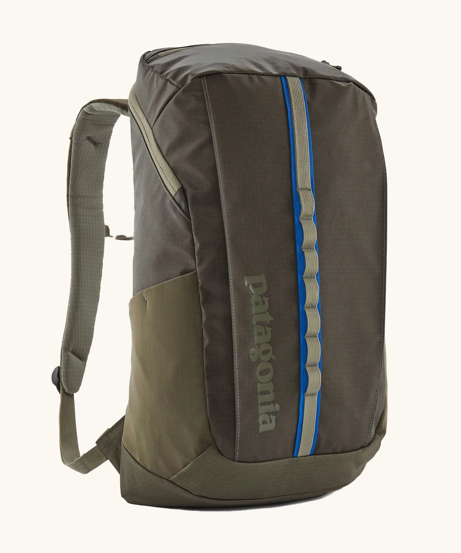Patagonia Black Hole Pack 25L - Basin Green