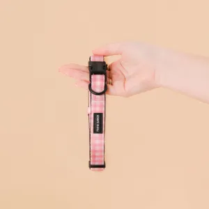 Pink Gingham Collar
