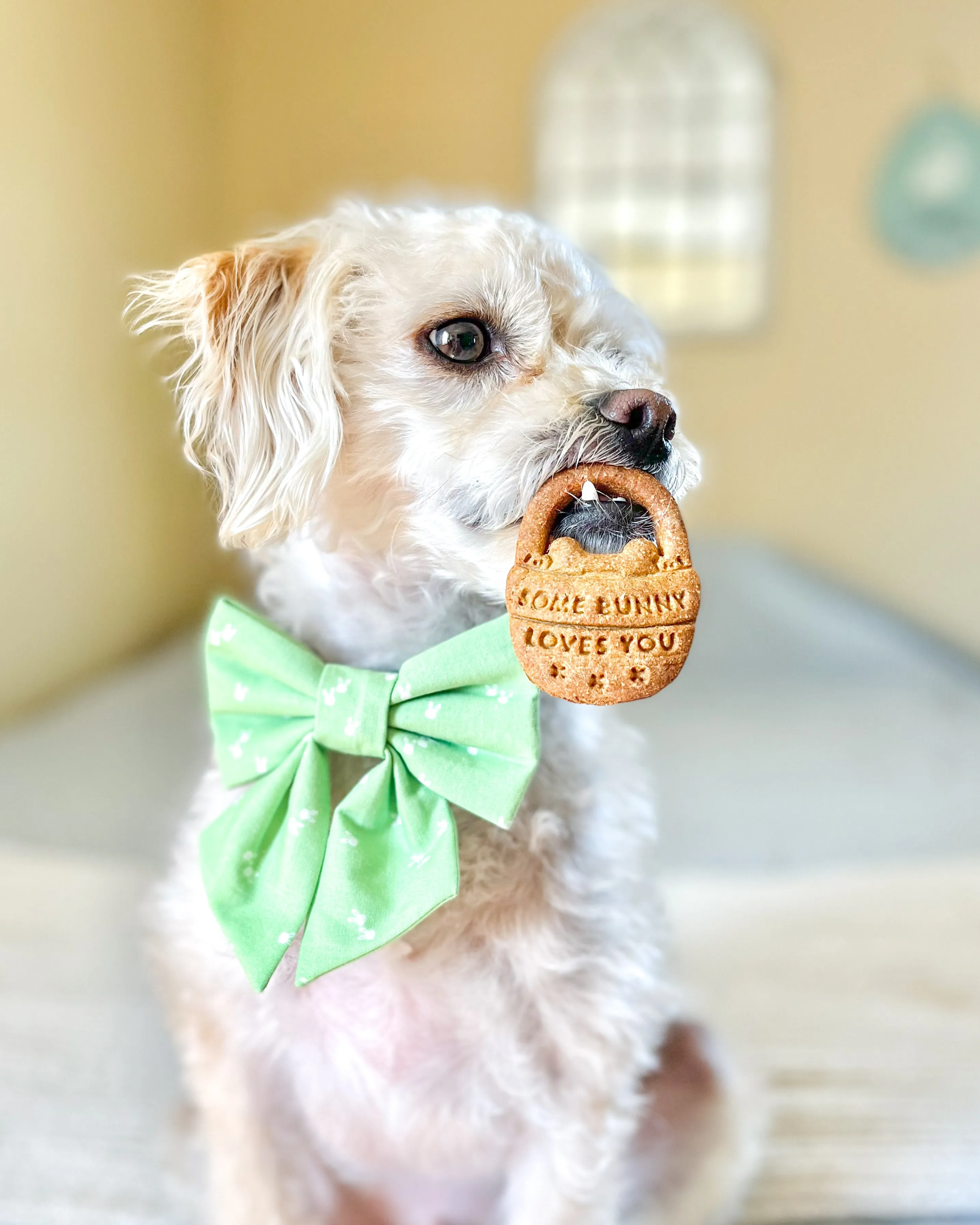 "Some Bunny Loves You" Dog Easter Basket Cookie Cutter