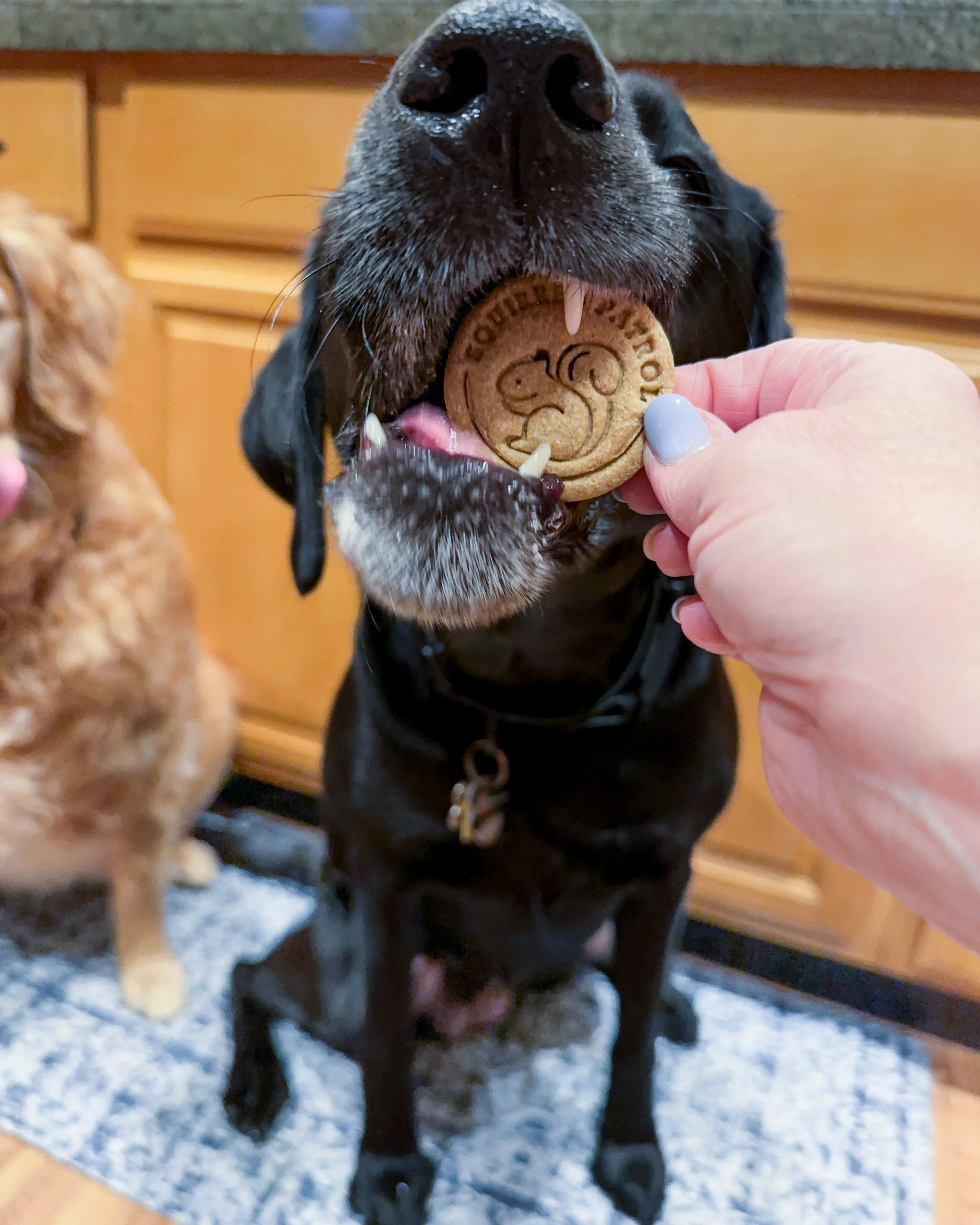 Rabbit Patrol & Squirrel Patrol Cookie Cutter