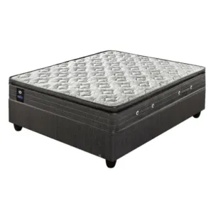 Sealy Amon Medium Base Set