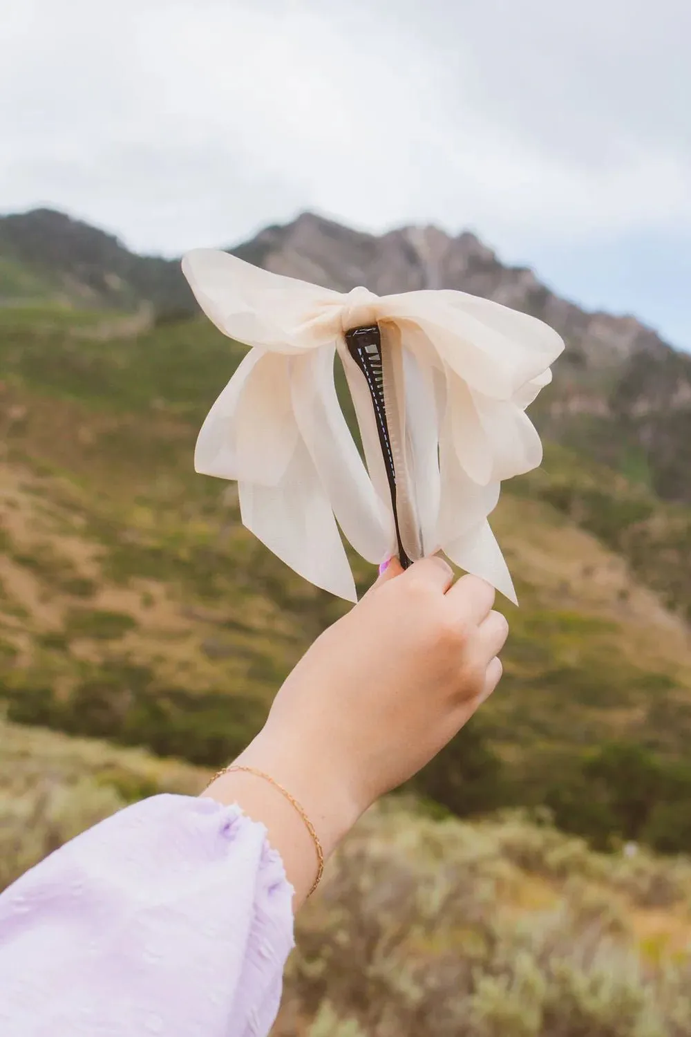 Sheer Bow Banana Clip - 2 Colors