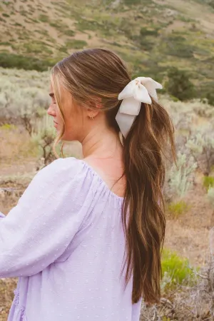 Sheer Bow Banana Clip - 2 Colors