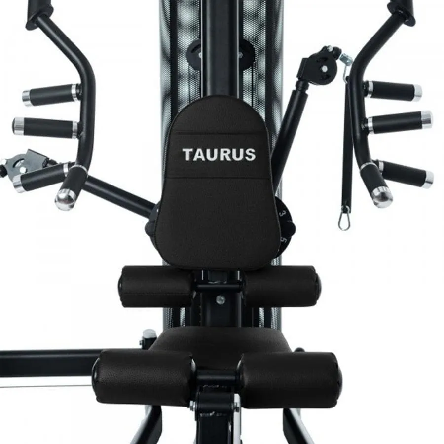 Taurus WS7