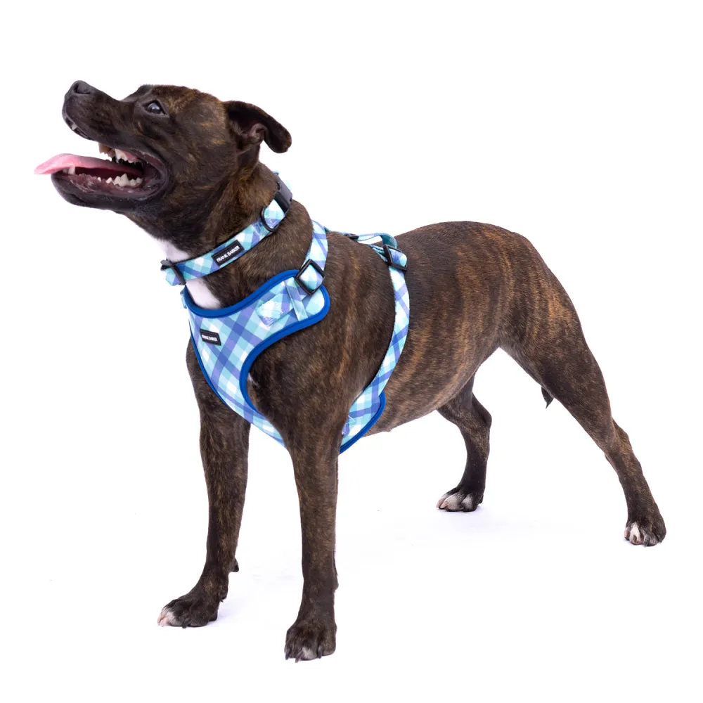 Teal Gingham Harness