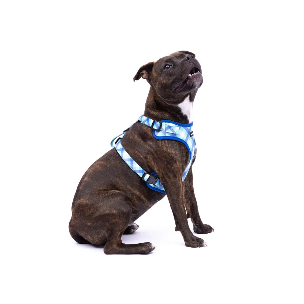 Teal Gingham Harness