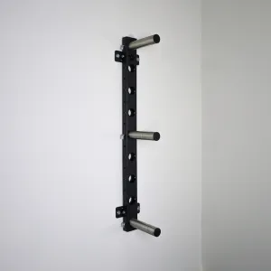 WALL MOUNT MULTI STORAGE SYSTEM