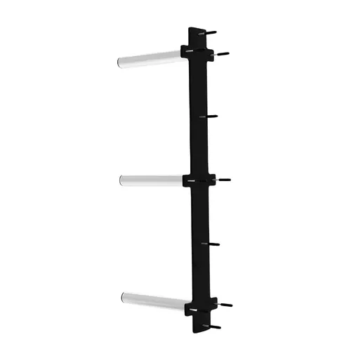 Wall Mounted Bumper Plate Storage Rack | 100kg Load Capacity