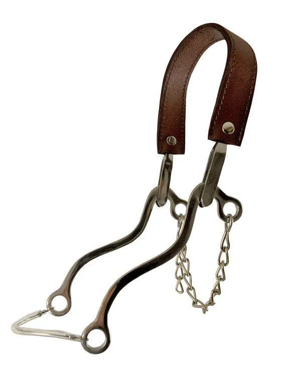 WESTERN HACKAMORE