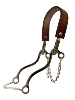 WESTERN HACKAMORE