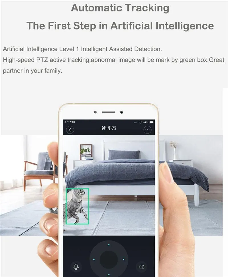 Xiaomi Dafang 1080P Smart Monitor Camera